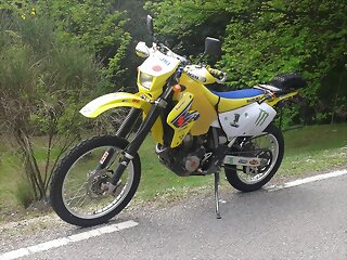 drz.jpg